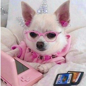 Meet your Posher, Audrey